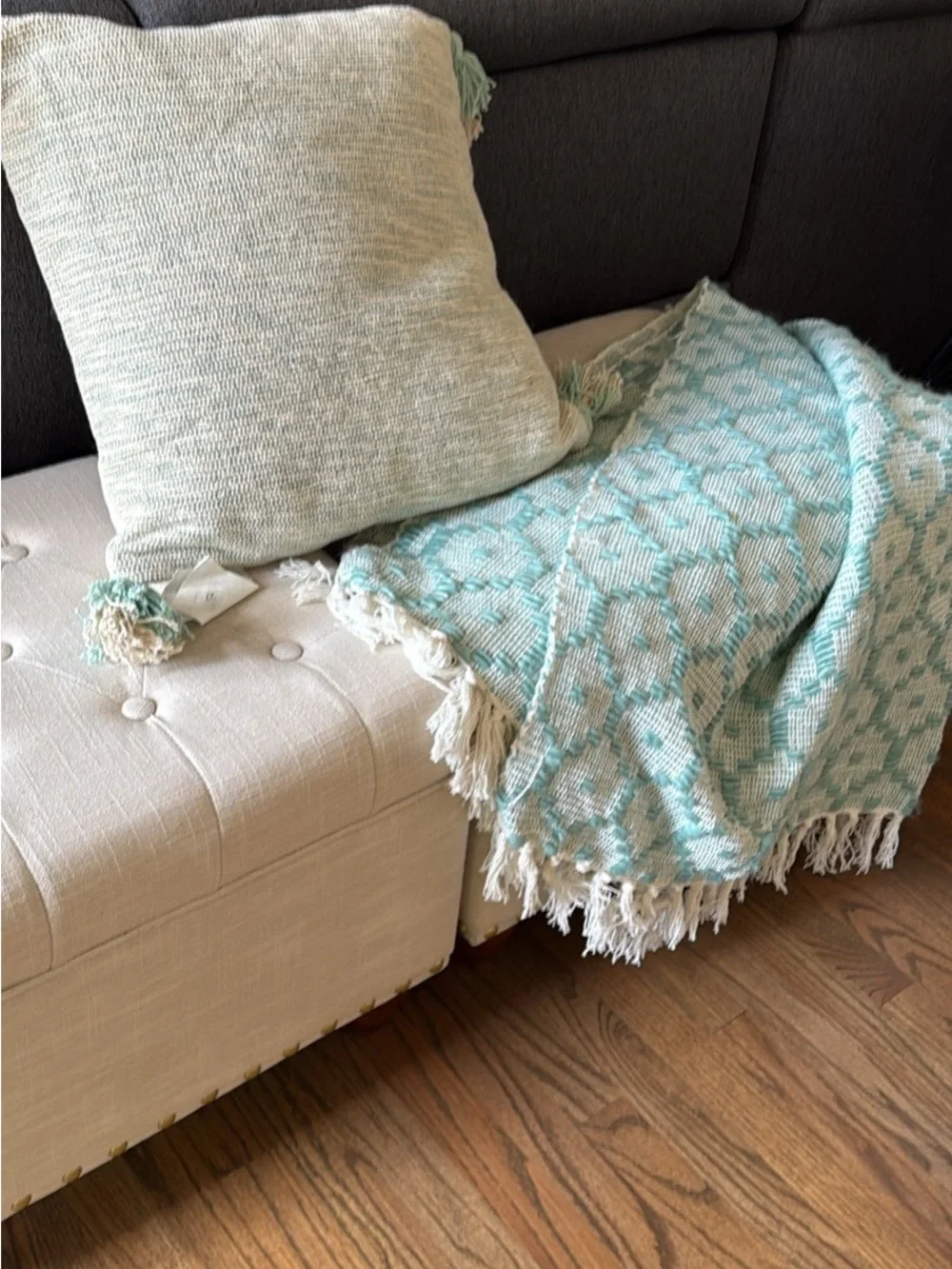 Soft Mint Accent Pillow with Tassels - Home Accents